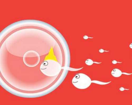 杭州代孕生宝宝公司,卵巢早衰可以供卵试管吗？_杭州有做供卵试管的医院吗